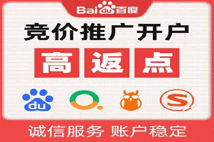 成功SEM推广代运营案例分享